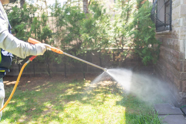 Best Pest Removal Services  in Sunrise, FL