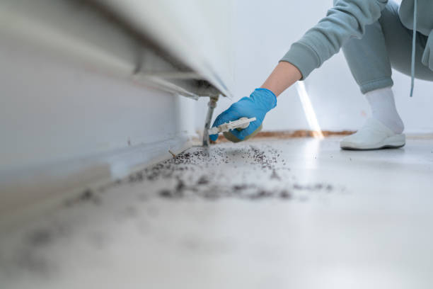 Best Residential Pest Control  in Sunrise, FL
