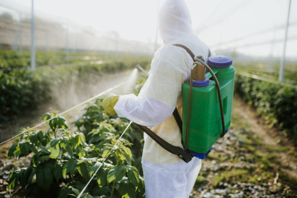 Best Insect Control  in Sunrise, FL